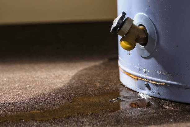 Local water damage restoration in MN
