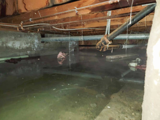 Best Emergency water damage restoration  in Nicollet, MN