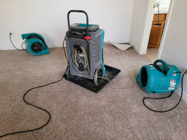Best Residential water damage restoration  in Nicollet, MN