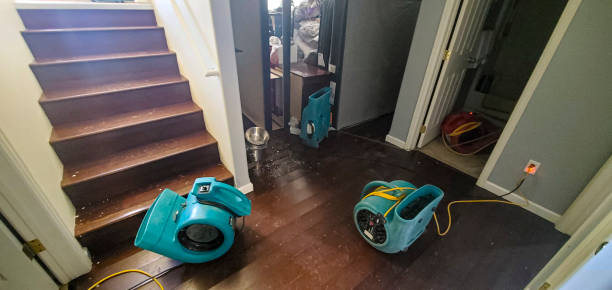 Best Water damage contractors near me  in Nicollet, MN
