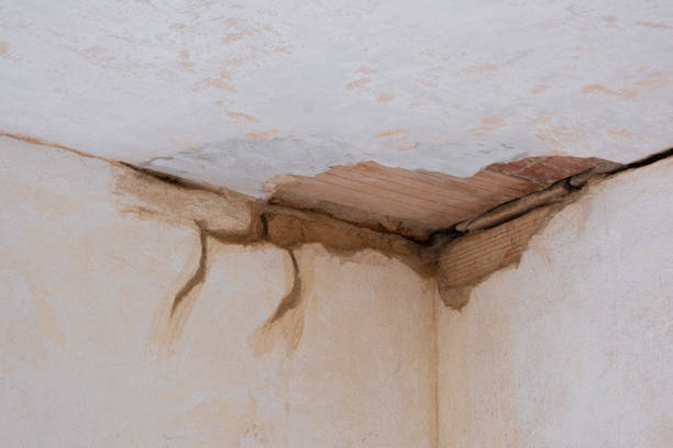 Best Water damage restoration near me  in Nicollet, MN