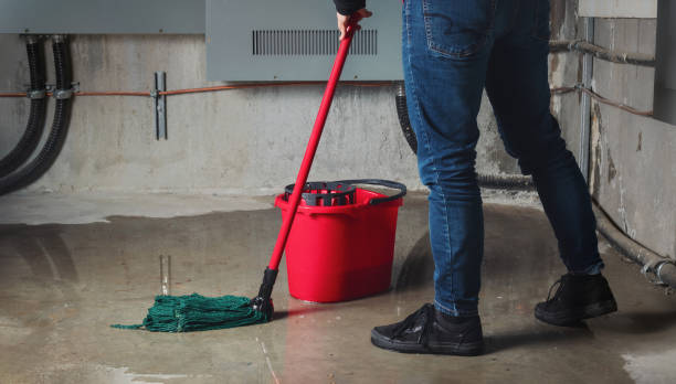 Best Water damage restoration cost  in Nicollet, MN