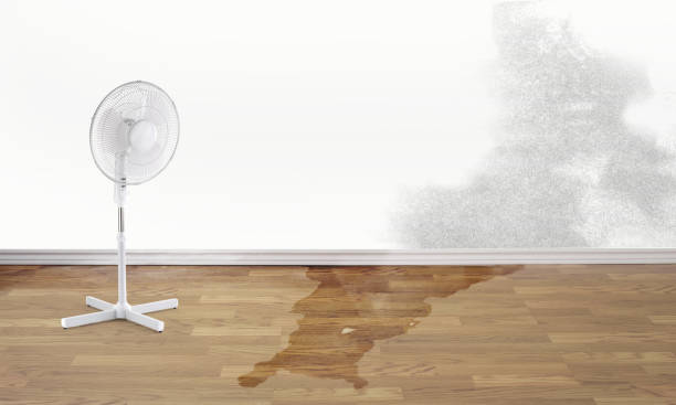 Best Fire Damage Restoration  in Nicollet, MN