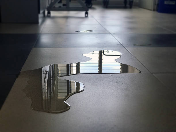 Best Residential water damage restoration  in Nicollet, MN