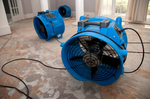 Best Commercial water damage restoration  in Nicollet, MN