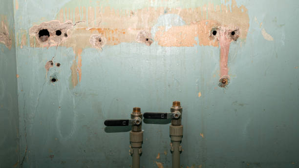 Best Water damage restoration experts  in Nicollet, MN