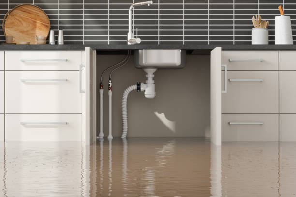 Best Water damage restoration near me  in Nicollet, MN