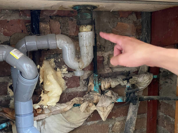 Best Flooded house restoration  in Nicollet, MN