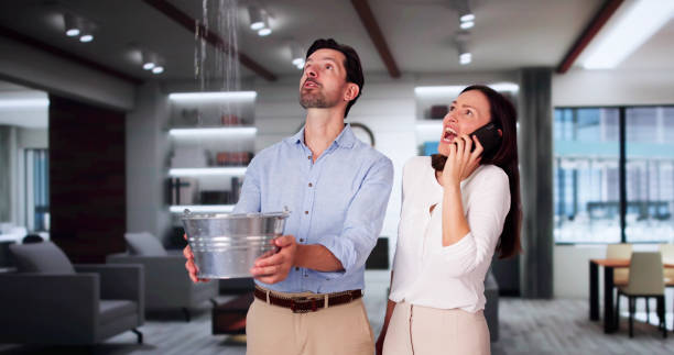 Best Ceiling water damage repair  in Nicollet, MN