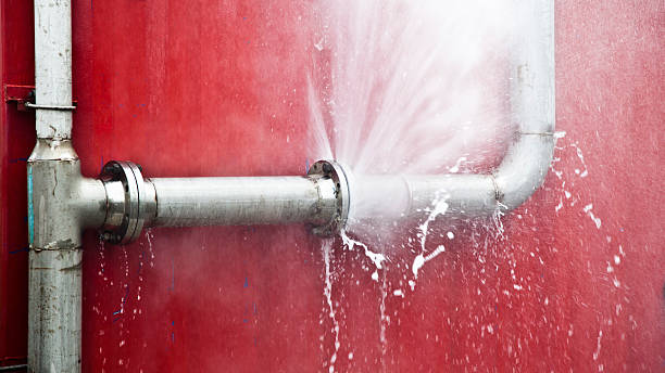 Best Flood damage cleanup  in Nicollet, MN